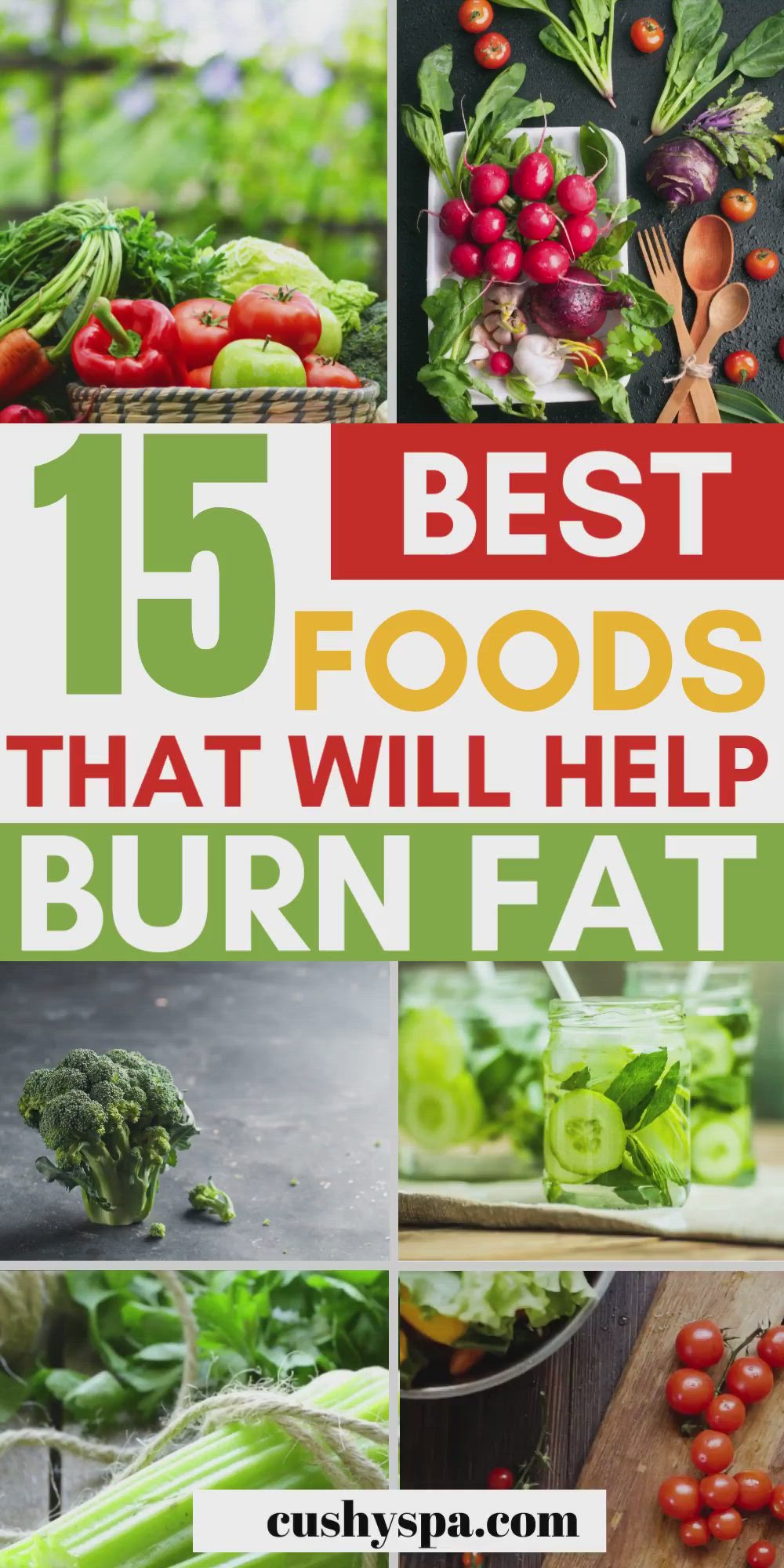 Looking for quick and easy foods that are great for weight loss? Include these fat burning foods into your healthy eating plan for your diet and speed up weight loss.