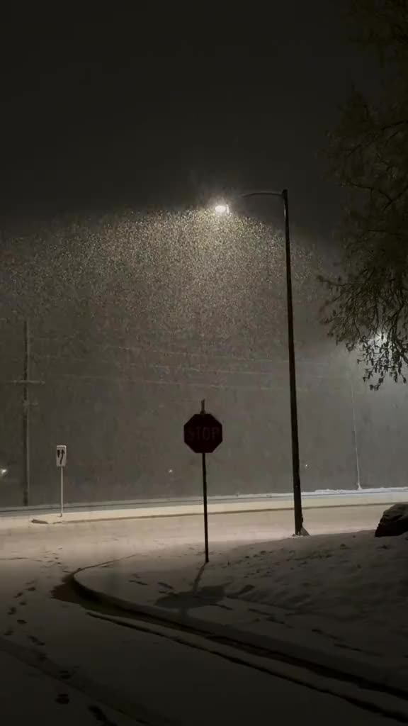 This may contain: a stop sign in the middle of a snowy road at night with street lights on