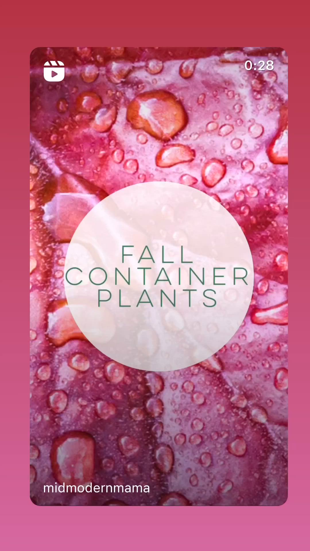 This may contain: a book cover with water drops on it and the words fall container plants written in white