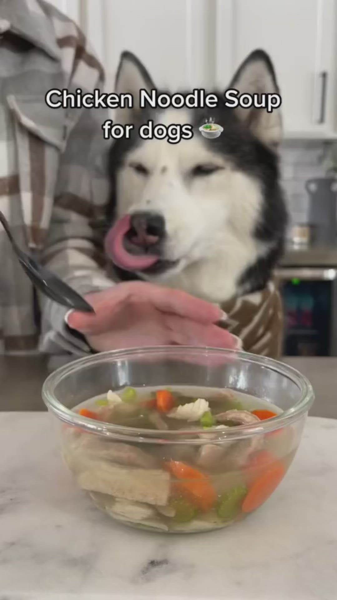 This may contain: a person holding a bowl of food with a dog in the background and text that reads chicken noodle soup for dogs