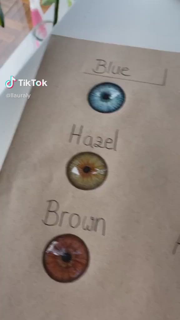 This may contain: three different colored donuts are shown on a piece of paper with the words blue, hasel, and brown