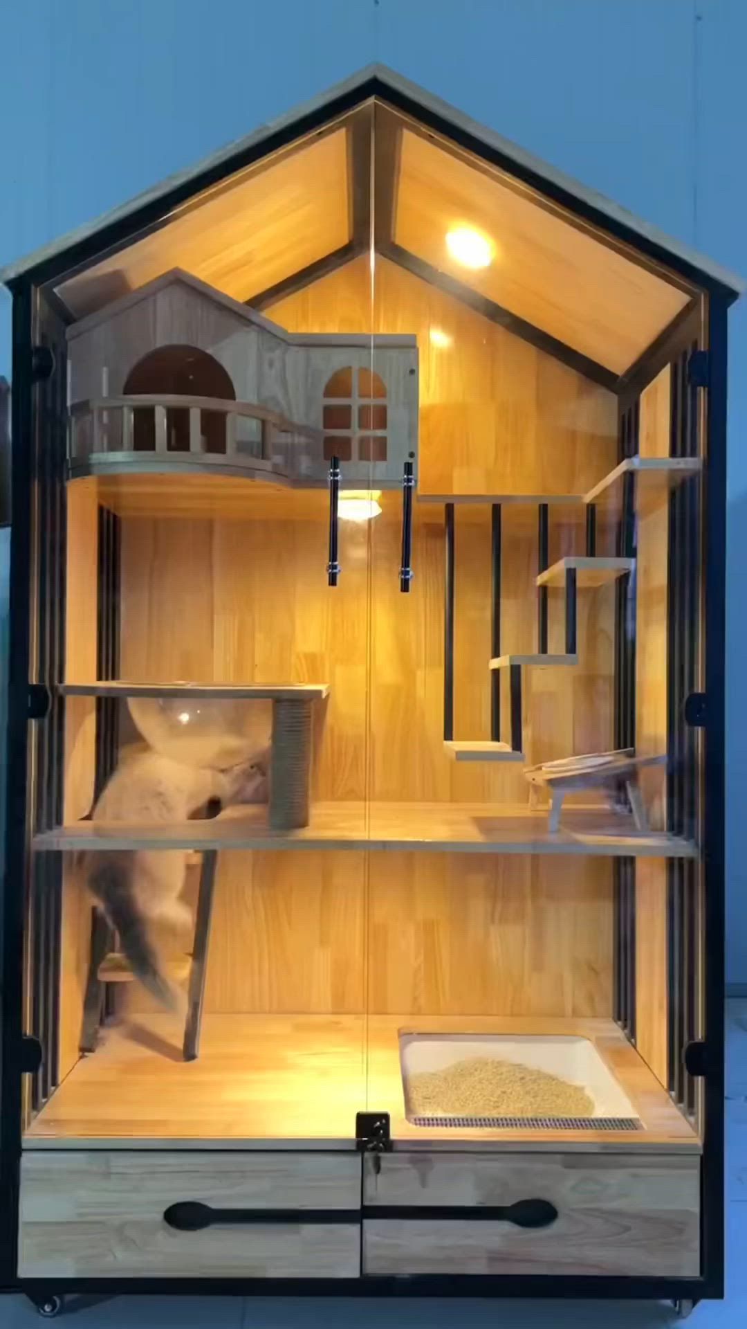 This may contain: a display case with an animal in it's house on the inside and outside