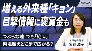 【解説人語】外来種「キョン」繁殖拡大　目撃情報で「褒賞金」も