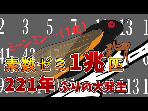 1兆匹の大発生！「素数セミ」の羽化周期が重なり一斉羽化