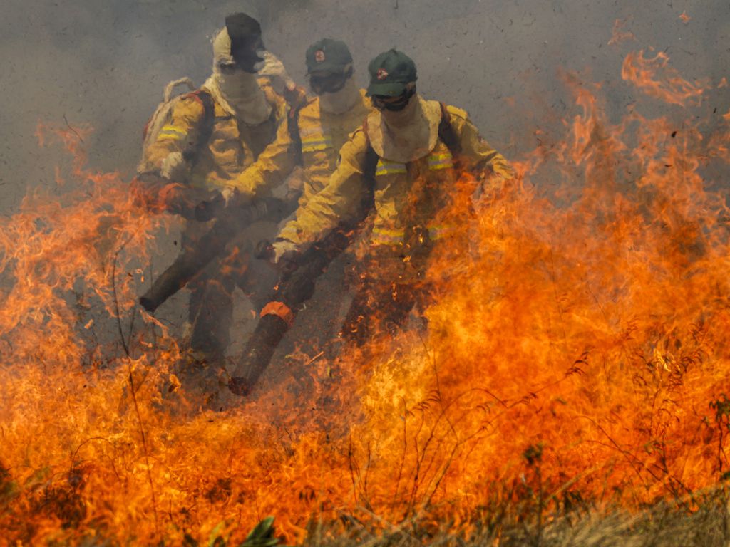 Cavalcante (GO) 15/09/2023 – A brigada de incêndio da Prevfogo composta com membros da comunidade quilombola Kalunga, durante simulação de combate ao fogo no cerrado no Engenho II