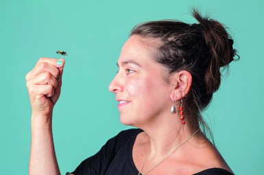 A profile shot of author and scientist Erica McAlister holding up an insect specimen.