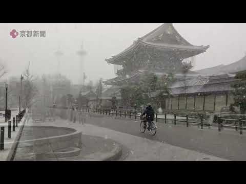 【京都の雪】京都市内中心部で積雪（2025年1月10日　京都市内）　Snowfall at Shijo Ohashi Bridge and Higashi Honganji Temple,KYOTO