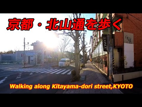 京都・北山通を歩く（2025年1月21日　京都市北区）　Walking along Kitayama-dori street in Kyoto