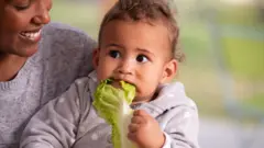 Bebê no colo da mãe comendo uma folha de alface