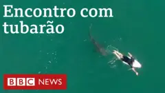 Surfista fica chocado e feliz ao descobrir que esteve tão perto de tubarão e conseguiu sobreviver sem ser atacado pelo animal na na Austrália