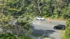 Homem para trânsito em rodovia para coala atravessar