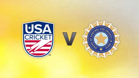 USA v India badge graphic