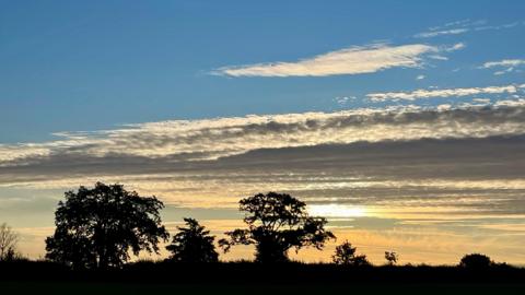 Several trees and hedges appear silhouetted against the horizon, with a low sun breaking through clouds beneath a bright blue sky.  