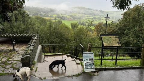 Two dogs sniff the ground in the foreground in front of metal railings that overlook rolling green hills in Shaftesbury. 