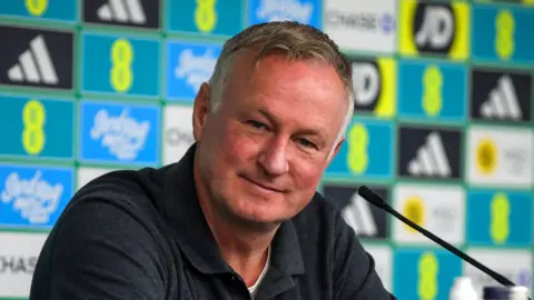 Northern Ireland manager Michael O'Neill 