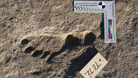 Footprint at White Sands