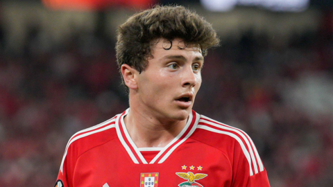 Joao Neves playing for Benfica