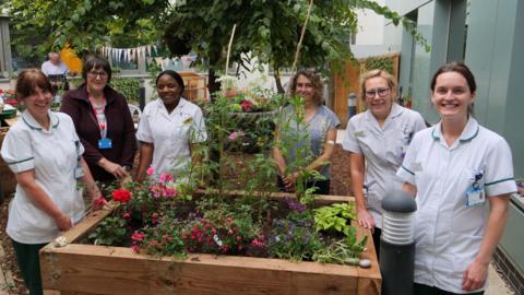 Six health workers are standing around a wooden planter containing a selection of colourful plants and flowers