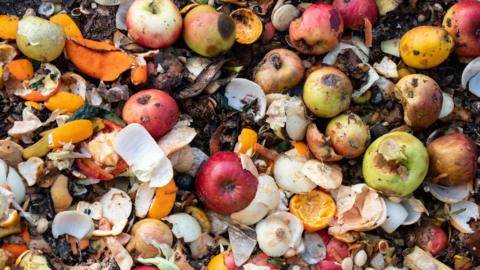 Rotting and bruised fruit, including bruised and rotting apples, half an onion and other orange and vegetable and fruit skins 