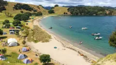 Foto aérea de praia