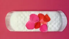 Absorvente com pétalas vermelhas e rosas