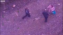 Imagem de câmera aérea mostra uma mulher na floresta e dois policiais chegando