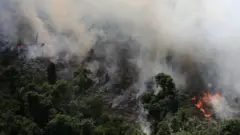 Visão aérea da floresta amazônica em uma área próxima à cidade de Novo Progresso