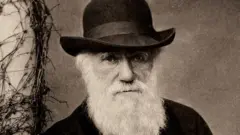 Chales Darwin