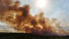 Incêndio no Pantanal, na região de Corumbá, em Mato Grosso do Sul