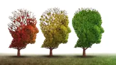 Imagem ilustrativa de três árvores podada na forma de cabeça humana em diferentes estações do ano