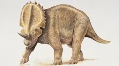 Centrosaurus