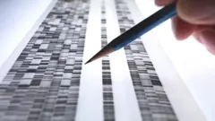 Mão segurando um lápis analisando um gráfico genético