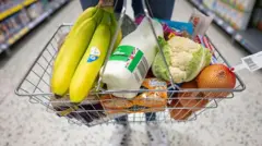 Cesta com compras de supermercado