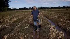 Homem de meia idade segura plantas destruídas em meio a um campo destruído