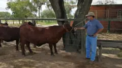 Egon Neufeld em sua propriedade rural