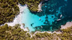 Praia de mar azul e florestas no entorno vista de cima