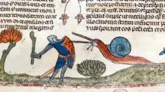 Caracol enfrentando guerreiro em manuscrito