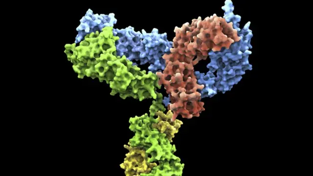 Anticorpo monoclonal