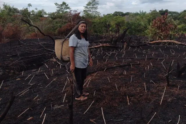 Mulher indígena em plantação queimada pelo fogo