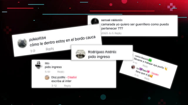 Um fundo escuro com capturas de tela de comentários em vídeos postados no TikTok perguntando como ingressar em grupos armados dissidentes da Colômbia