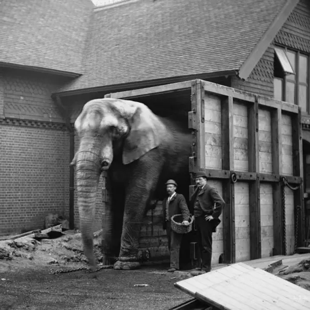 Jumbo junto a seu cuidador, Matthew Scott, e um funcionário do zoológico de Londres