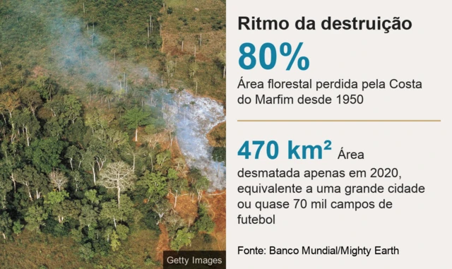 Infográfico mostra ritmo da destruição florestal na Costa do Marfim