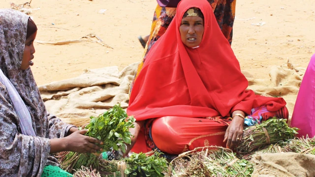 Mulheres vendendo maços de khat em um mercado na capital da Somália, Mogadíscio — foto de arquivo