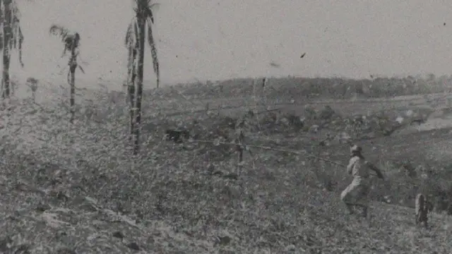 Agricultor combate infestação de gafanhotos no RS nos anos 1940 com vara de madeira