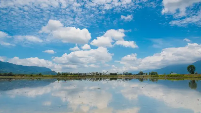 Campo de arroz em Taiwan: sob um céu azul com nuvens, um campo alagado refletindo a paisagem