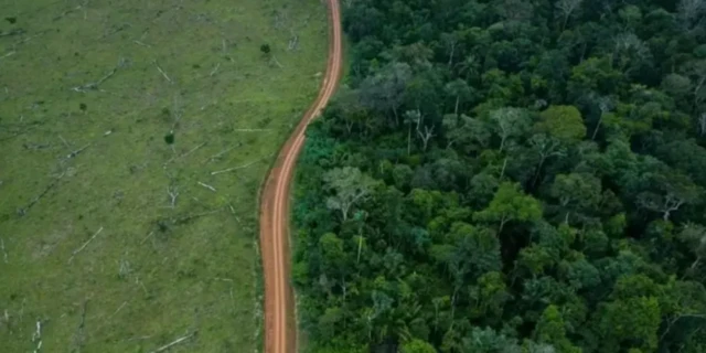 imagem aérea de desmatamento na Amazônia