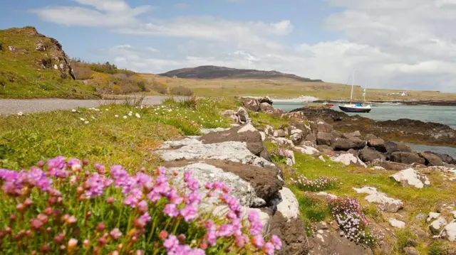 Flores e a paisagem de Eigg