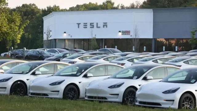 Carros da Tesla enfileirados