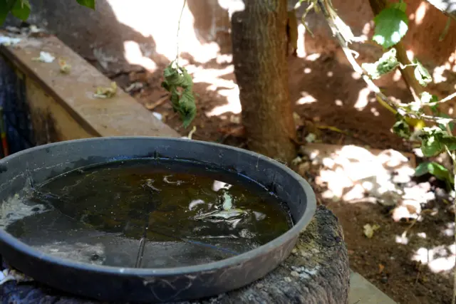 Vaso de planta com água parada