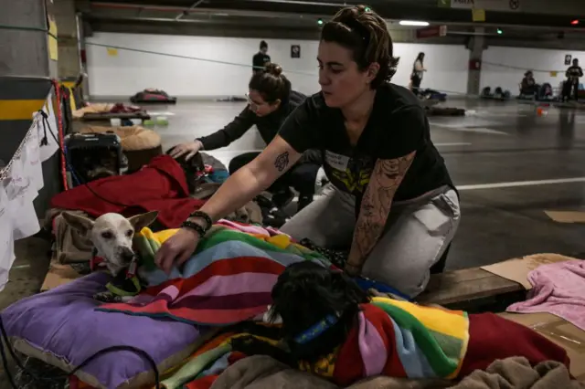 Cachorros sendo cuidados por voluntária em abrigo